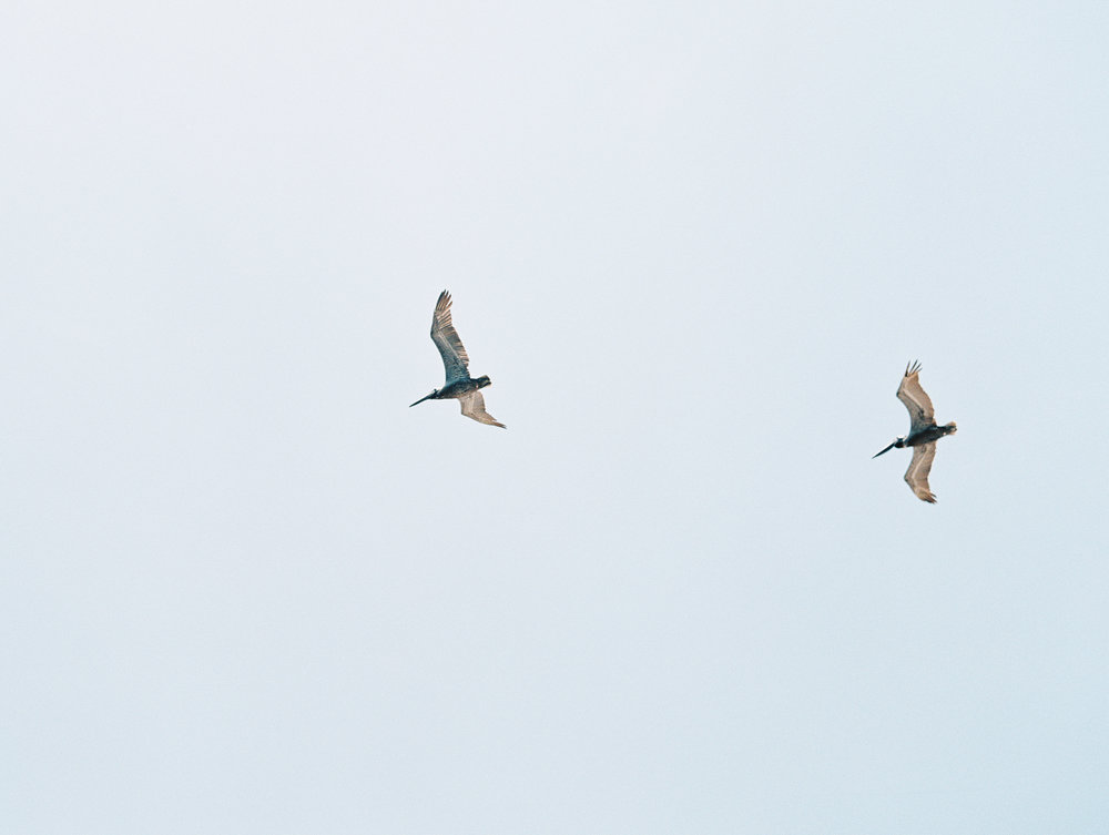 Katie Stoops Photography-Bald Head Wedding15.jpg