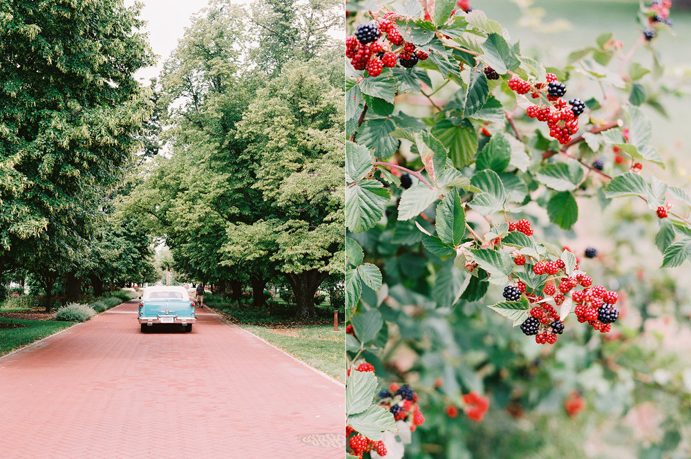 katie stoops photography-inn at perry cabin wedding51.jpg