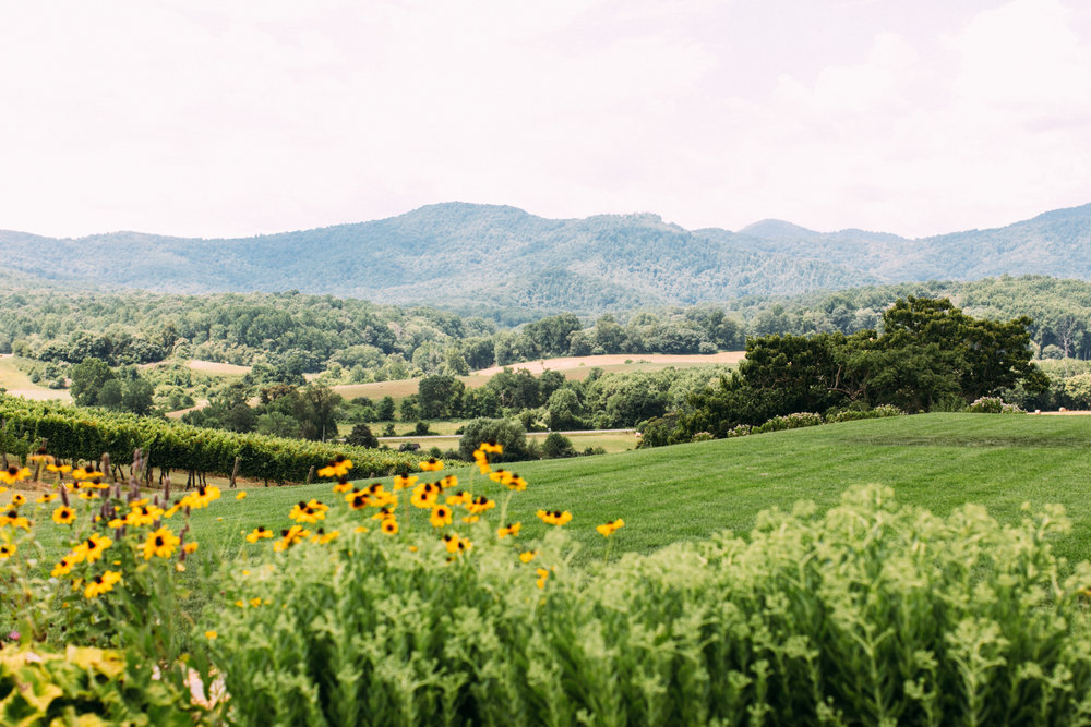 katie stoops photography-pippin hill-ashley baber weddings06.jpg