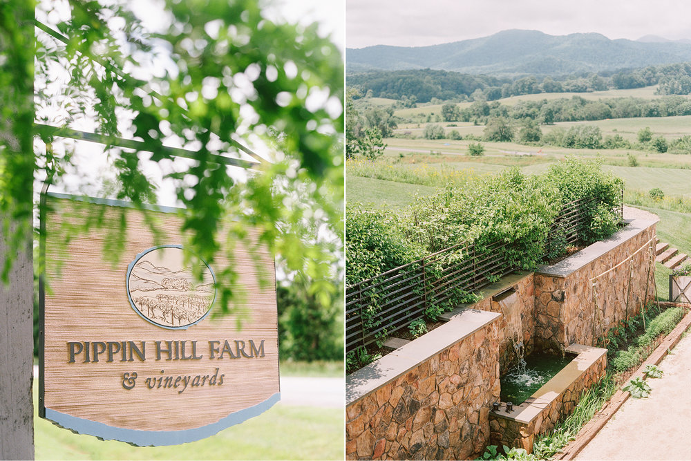 katie stoops photography-pippin hill wedding002.jpg