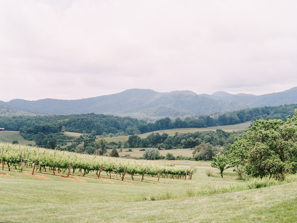 katie stoops photography-pippin hill wedding003.jpg