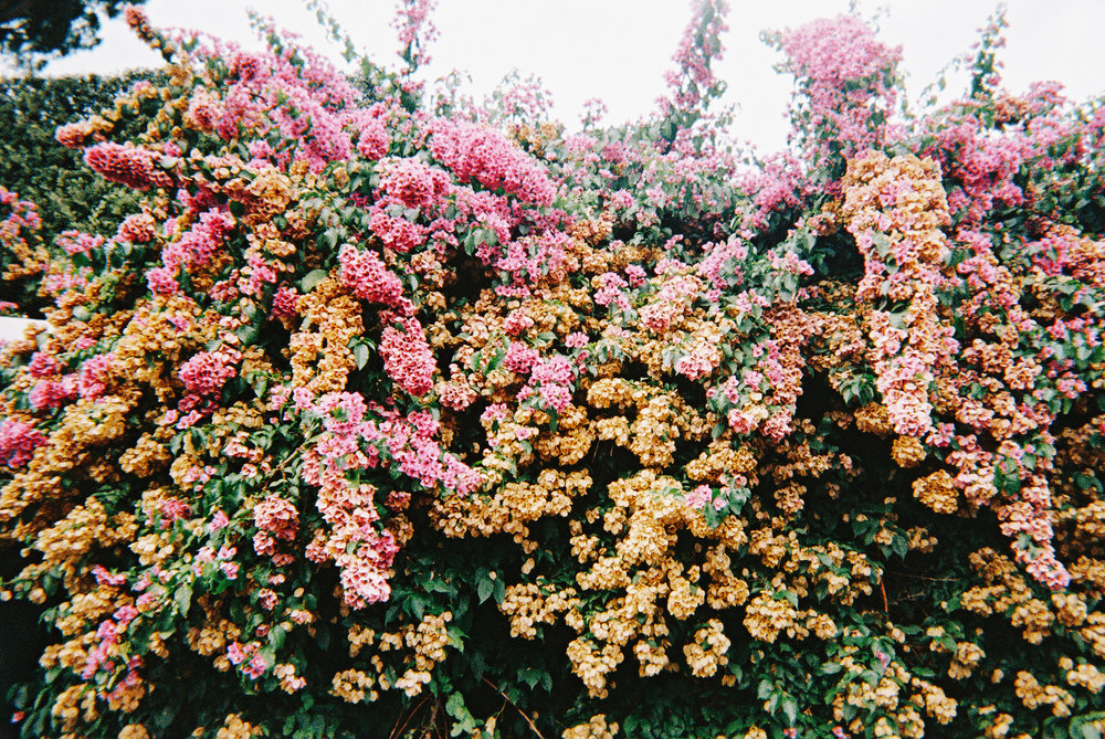 katie stoops photography-rome-ravello-amalfi04.jpg