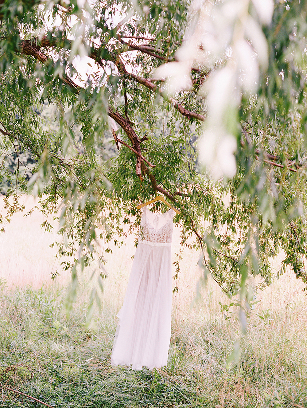 Katie Stoops Photography-Fat Cat Farm003.jpg