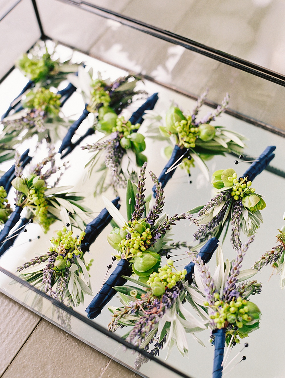 Katie Stoops Photography-Fat Cat Farm025.jpg