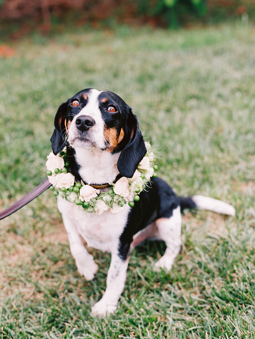 Katie Stoops Photography-Fat Cat Farm026.jpg