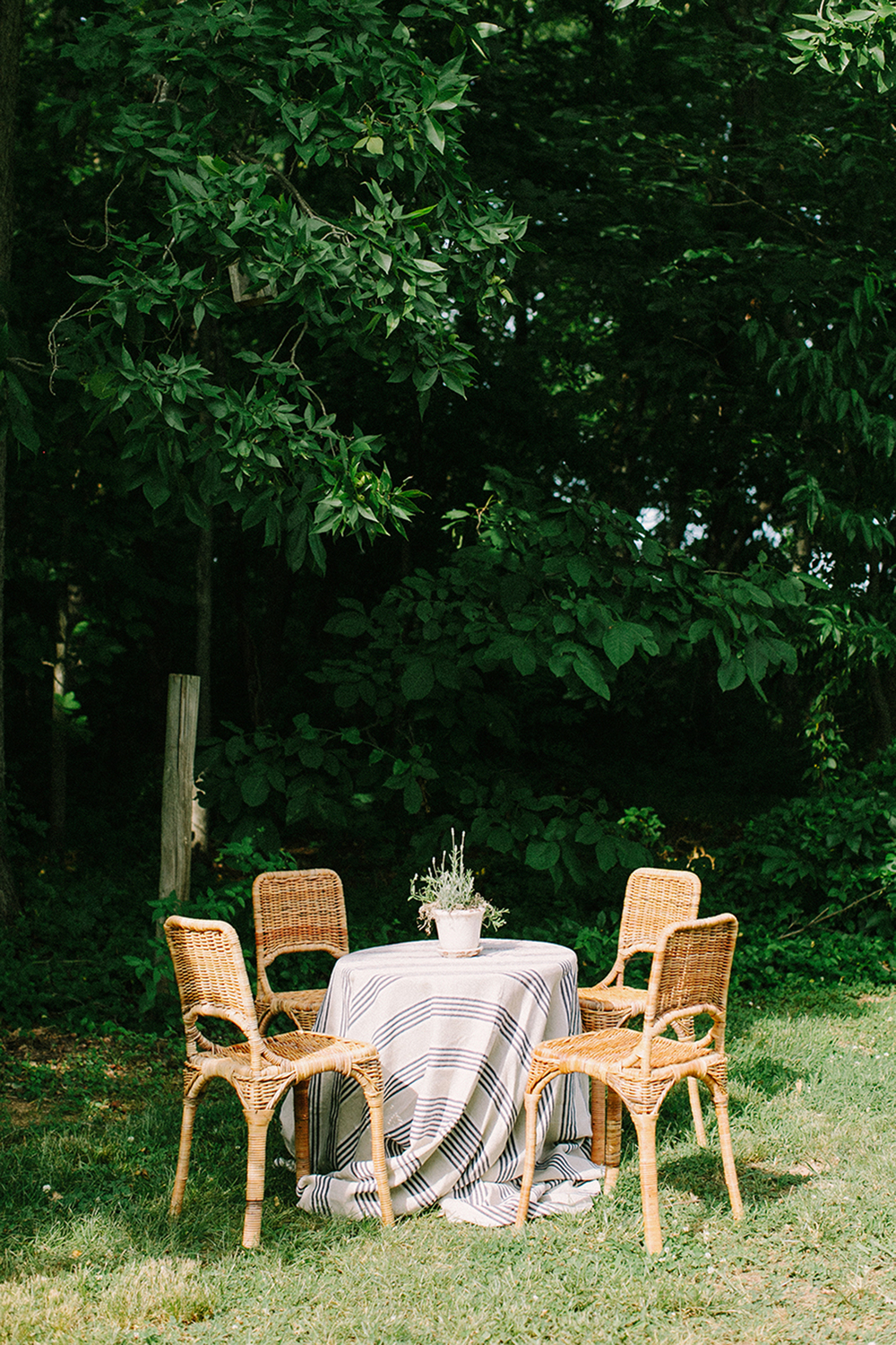 Katie Stoops Photography-Fat Cat Farm051.jpg