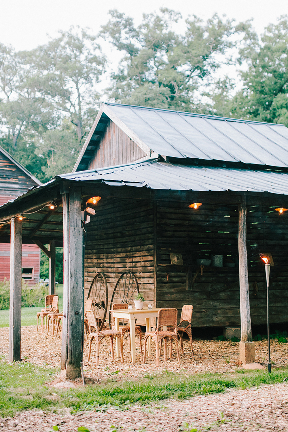 Katie Stoops Photography-Fat Cat Farm070.jpg