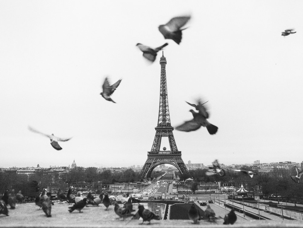 katie stoops photography-paris wedding-marchesa-cynthia martyn events25.jpg